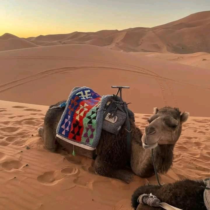 Kasbah Ait Arbi Hotel Ait Ougliff Eksteriør billede